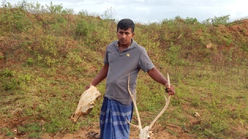 El confinamiento, principal aliado de los cazadores furtivos en Sri Lanka