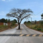 Un árbol de "cajá" se quedó por petición ciudadana en medio de una avenida en Paraiso do Tocantins