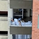 Niña juega en piso 7 de un apartamento en un edificio en Bello