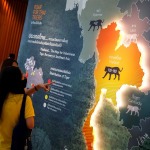 Tailandia duplica la población de tigres salvajes, especie en peligro