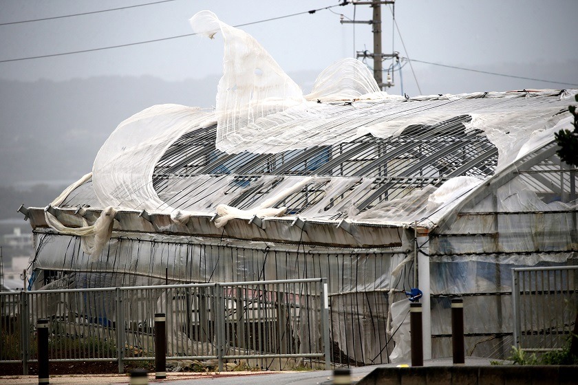 El potente tifón Maysak dejó decenas de víctimas en Corea del Norte