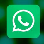 Los nuevos términos y condiciones de WhatsApp que se deben aceptar para poder seguir usando la app