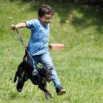 Fotografía del 11 de febrero de 2021, que muestra al niño ambientalista Francisco Vera mientras juega con su perro Pinky, en Villeta (Colombia). EFE