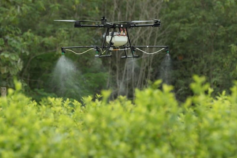 Colombia, cada vez más cerca de retomar las aspersiones aéreas con glifosato (1)