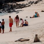 Ecuador - Galápagos, entre los embates de la pandemia y restricciones medioambientales