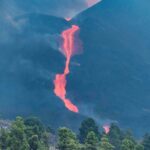 Los animales se acostumbran a convivir con el volcán, según un biólogo