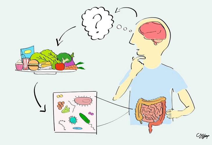 La diversidad de la microbiota de los TEA podría deberse a su alimentación