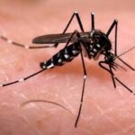 El dengue se dispara en Santander: tres fallecidos y más del 80% de los casos en el área metropolitana---En Rosario fue detectado el primer caso de coronadengue en Suramérica- Epidemia de Dengue en Medellín: Autoridades Confirman 298 Casos en 2024