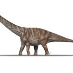 Descubren una nueva especie de dinosaurio que vivió en el Pirineo