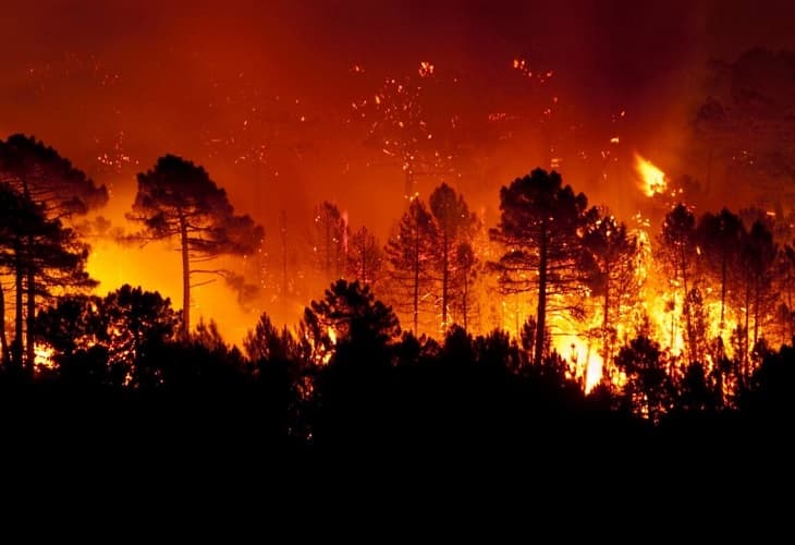 2.000 hectáreas quemadas ya en un fuego que sigue avanzando al sur de España