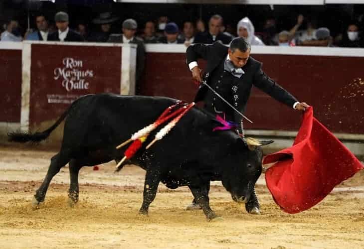 El Congreso De Colombia Comienza A Impulsar La Prohibición De Las Corridas De Toros 6805