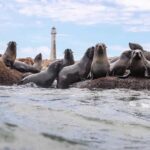 Uruguay cuenta con áreas marinas “extraordinariamente valiosas”, según NatGeo