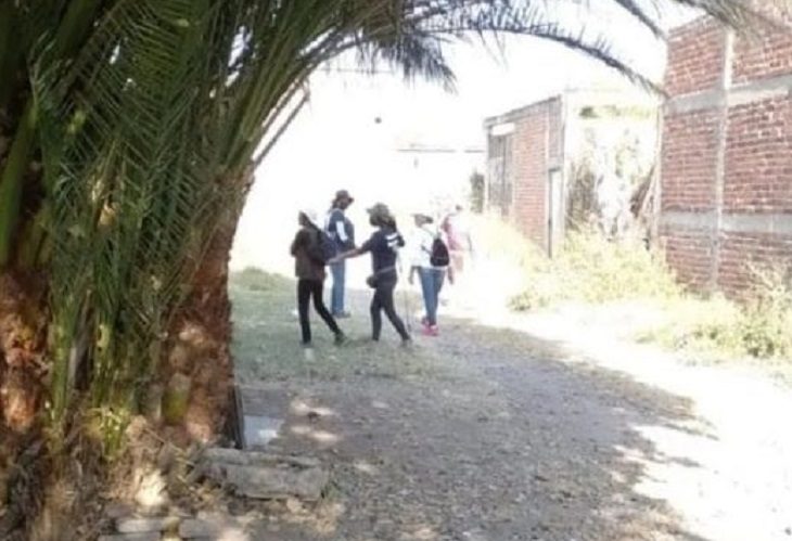 Guanajuato: por un perro hallaron una mega fosa clandestina 