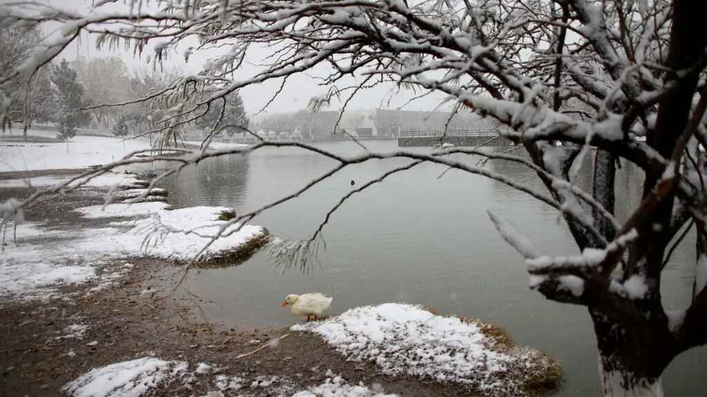 Tormenta invernal provocará lluvias fuertes y nevadas en noroeste de México