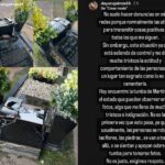 Tumba de Martín Elías profanada en cementerio de Valledupar