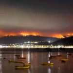 Damnificados por incendios del sur de Chile_ “Se perdió todo, fue un infierno»