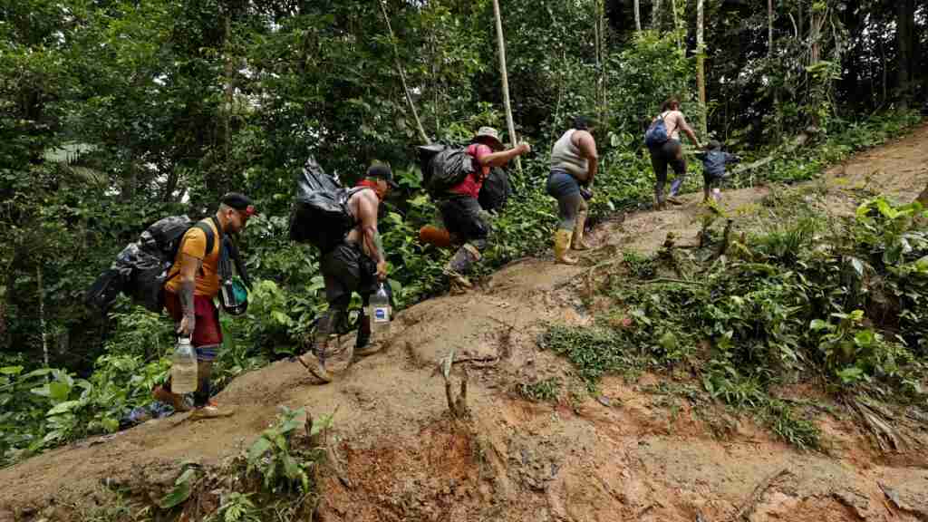 Número de migrantes que cruzaron el Tapón del Darién en enero se cuadriplicó