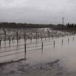 California se prepara para otra tormenta que podría empeorar las inundaciones con lluvias y nevadas adicionales