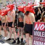 Protestan frente al Congreso para urgir prohibir las corridas de toros en Colombia