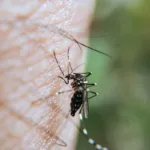 Dengue en Medellín: síntomas, prevención y recomendaciones ante el aumento de casos