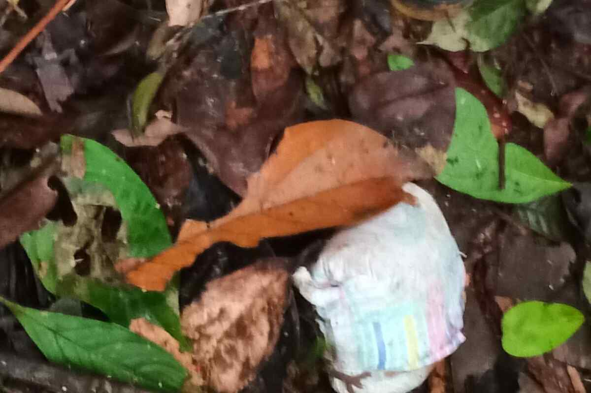 Hallan objetos de los niños desaparecidos en el Guaviare tras accidente aéreo