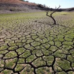 El Banco Mundial pide a los países redireccionar subsidios para afrontar la crisis climática