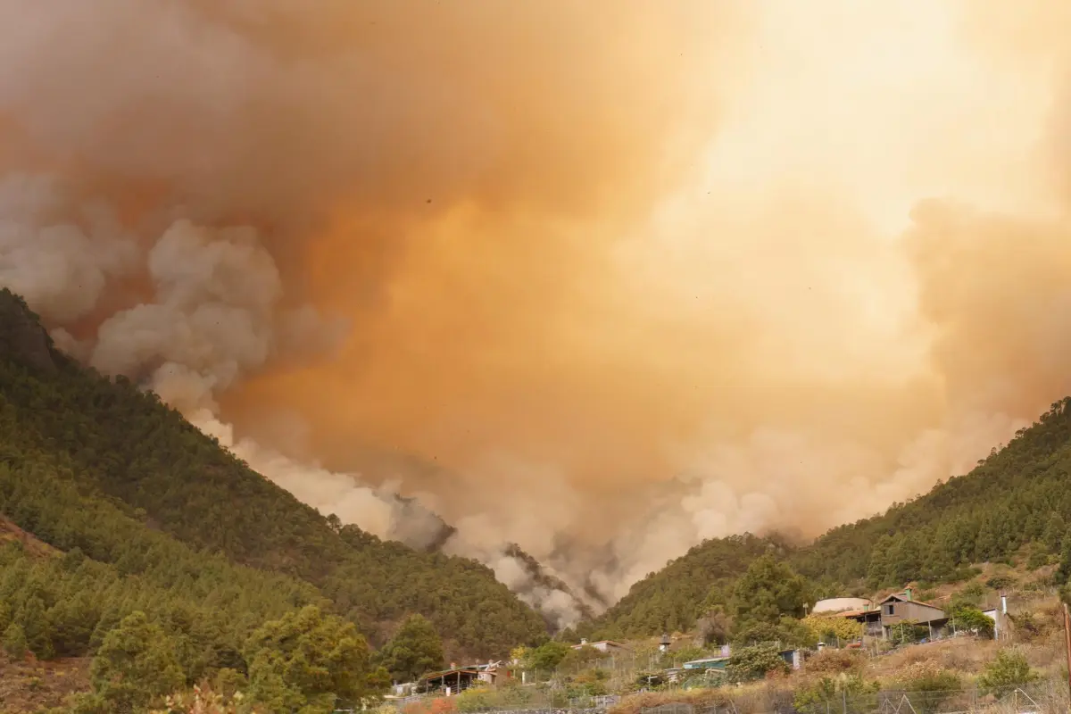 Un voraz incendio arrasa ya con 800 hectáreas en las islas Canarias, en España