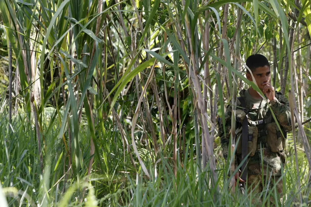 Nuevos Enfrentamientos En Colombia Entre El ELN Y Disidencias De Las ...