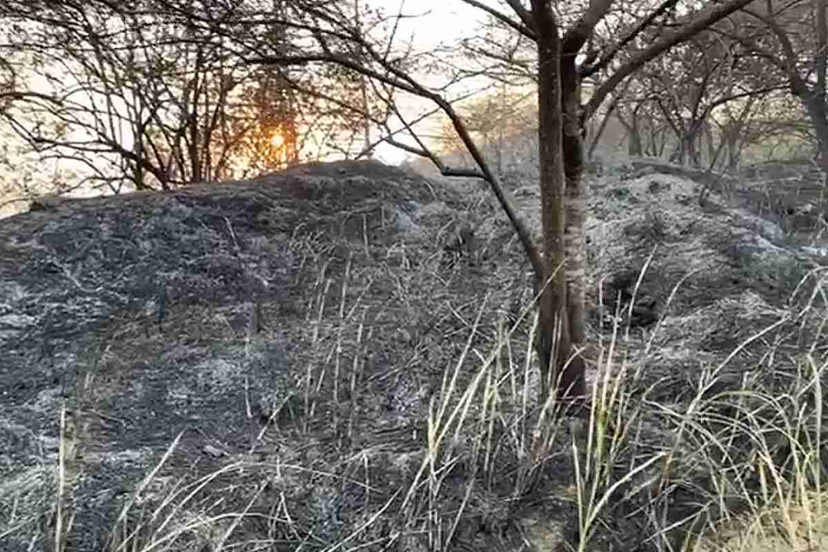 Incendio Forestal Arrasa Con Más De 60 Hectáreas En El Norte De Cali