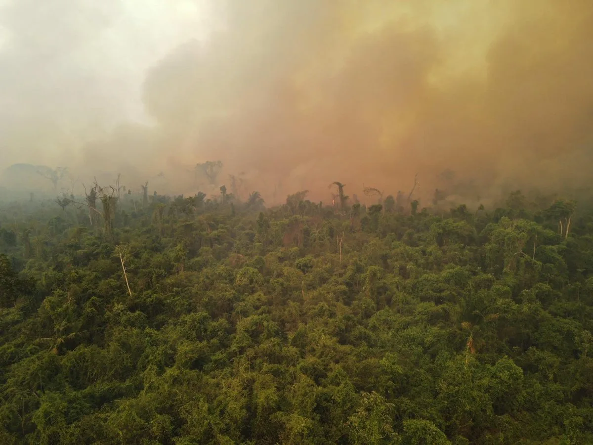 La lucha de los bomberos de Bolivia contra el fuego que arrasa con la vida de sus bosques