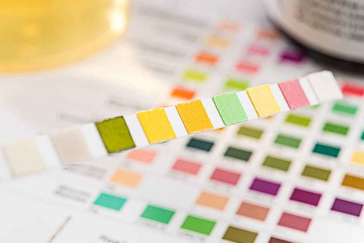 Aprende a medir el pH de tu cuerpo en casa con este método sencillo