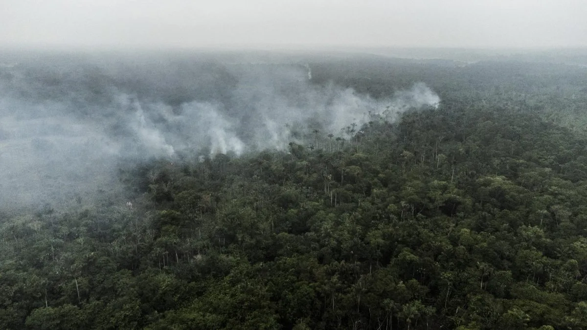 Los incendios en la Amazonía cayeron un 10,8 % en 2023 pese a su histórica sequía