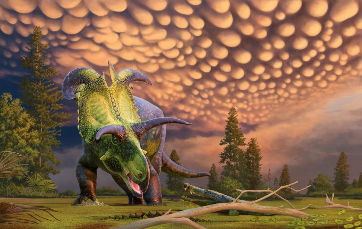 Una nueva especie de dinosaurio herbívoro con cuernos gigantes es descubierta en EEUU