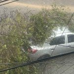 Aguacero en Medellín causó caos vial y caída de árboles: Autopista Norte y deprimido de la Feria de Ganado afectados