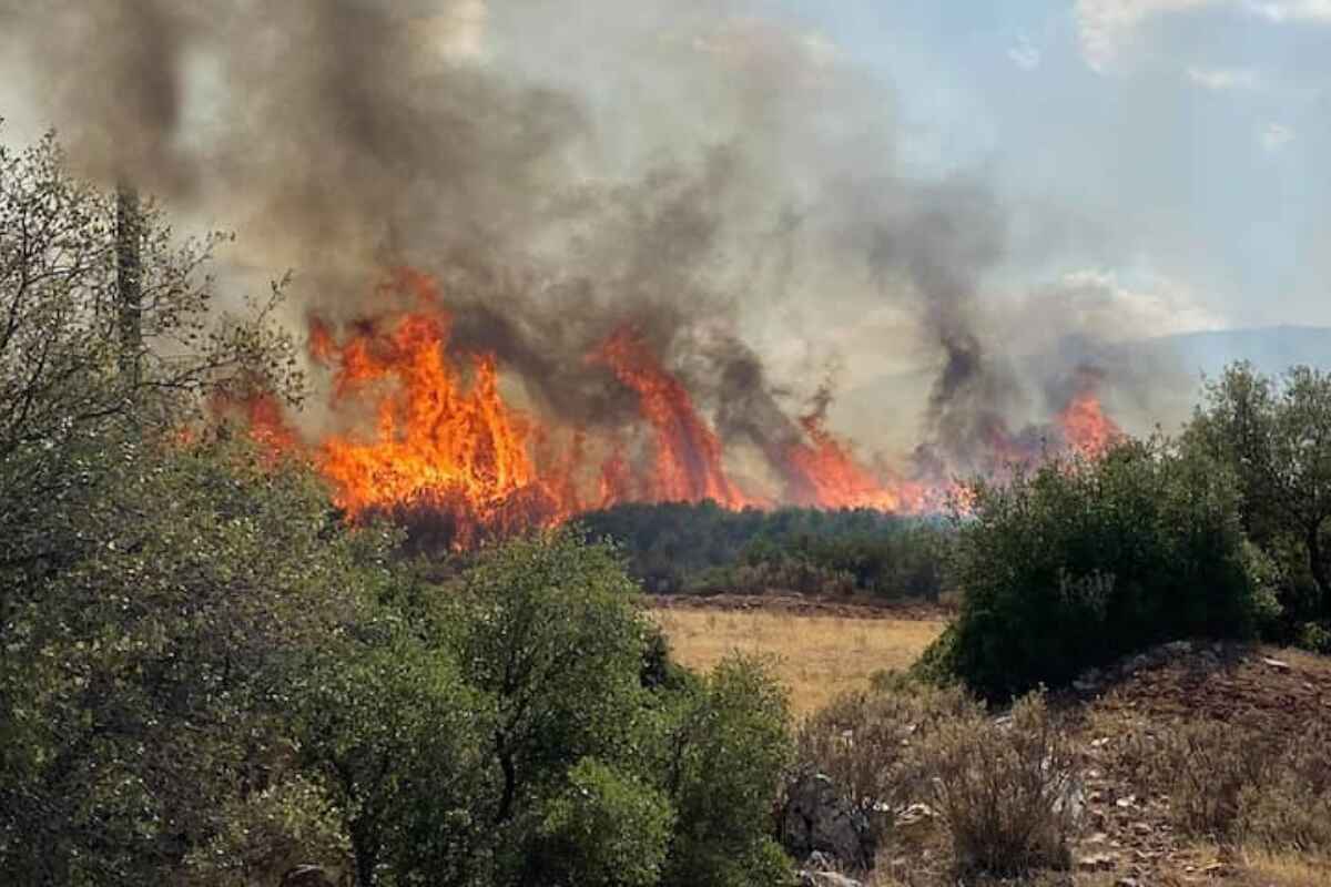 Tripulantes de yate de lujo arrestados por provocar incendio forestal con fuegos artificiales en Hydra, Grecia