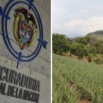 Procuraduría critica el proceso de compra de tierras para la reforma agraria del gobierno Petro