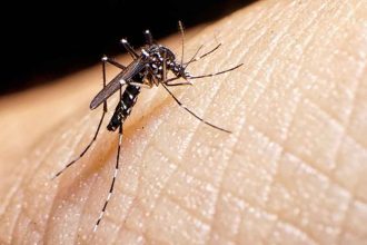 Alerta roja por dengue en Medellín: 4 serotipos del virus circulando y llamado a la prevención