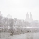 Al menos cinco personas muertas en el peor temporal de nieve en décadas en EE.UU.