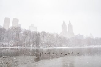 Al menos cinco personas muertas en el peor temporal de nieve en décadas en EE.UU.