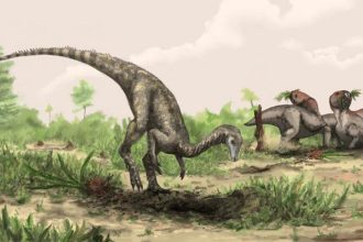 Un estudio da un nuevo giro al rompecabezas de los dinosaurios - son mucho más antiguos