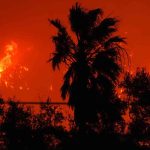 Los incendios en Los Ángeles dejan al menos 24 muertos: La cifra sigue en aumento