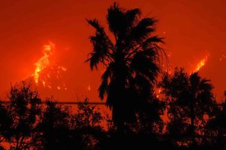 Los incendios en Los Ángeles dejan al menos 24 muertos: La cifra sigue en aumento