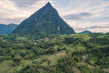 nueva planta descubierta en el cerro tusa en el suroeste antioqueño