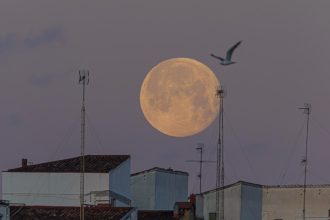 Blue Ghost logra perforar la Luna y probar computador resistente a la radiación espacial