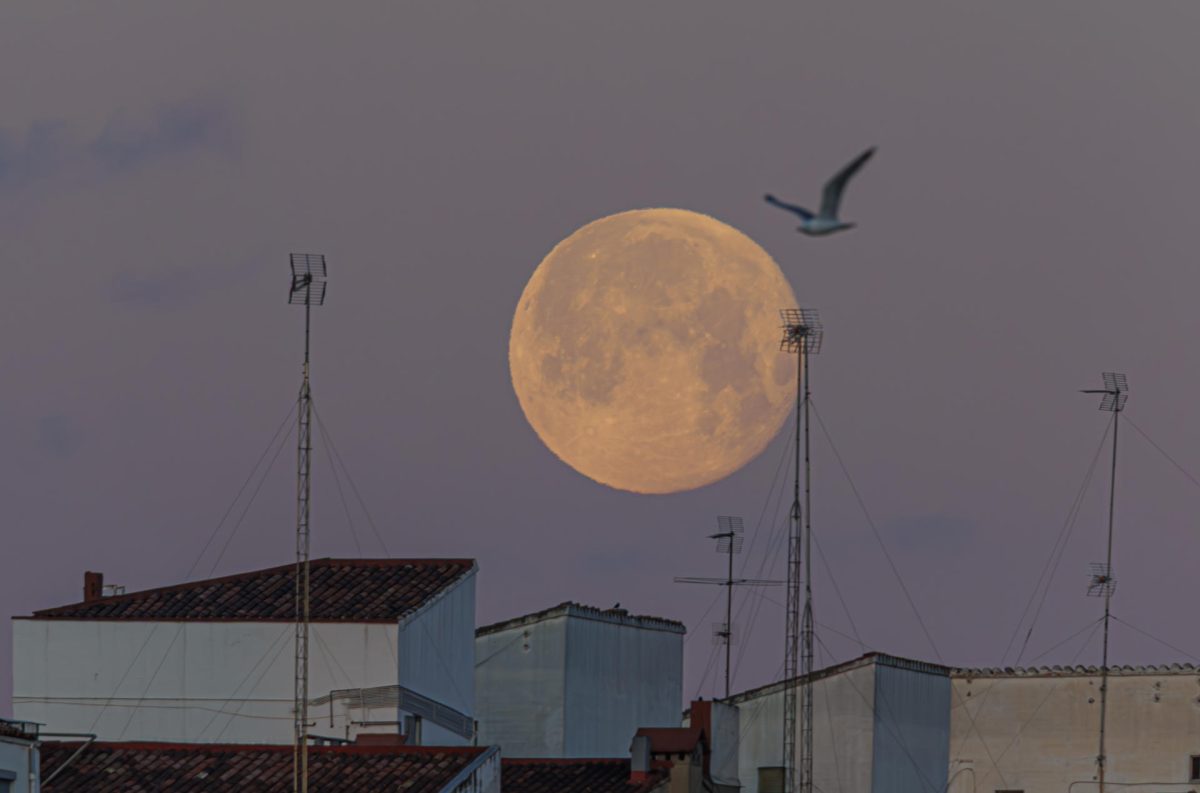 Blue Ghost logra perforar la Luna y probar computador resistente a la radiación espacial