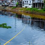 Derrame de petróleo en Ecuador afecta a un refugio de vida silvestre de la zona costera