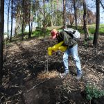 Quito incorpora herramienta tecnológica para medir la salud de los árboles